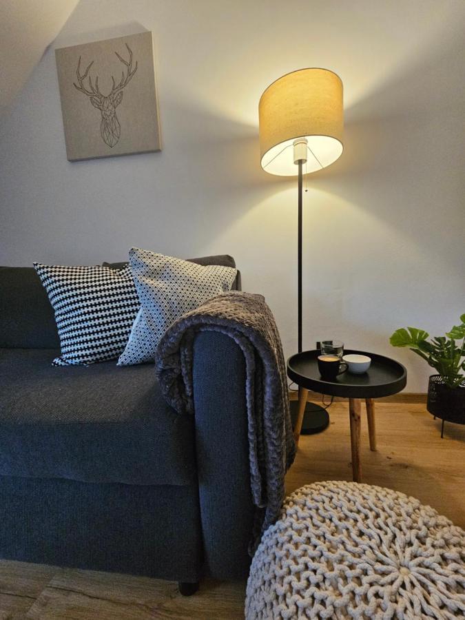 Horsky Apartman Miki Filipovice Exterior photo